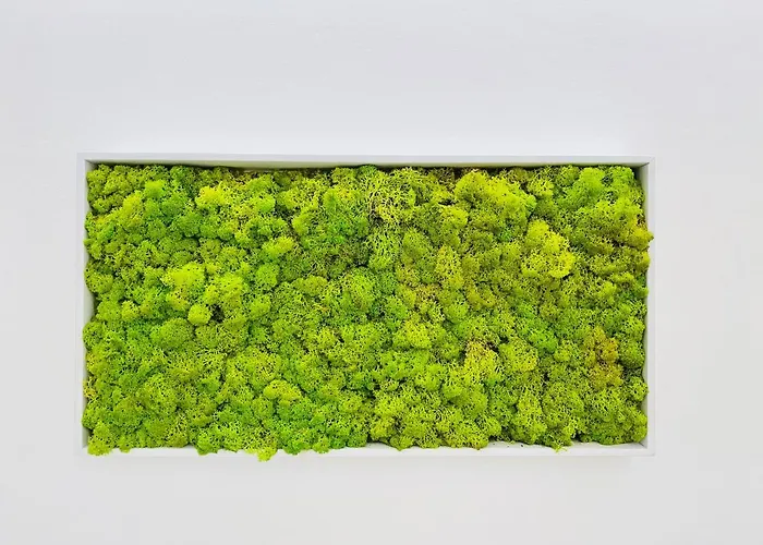 Nima Oberdan House Perúgia