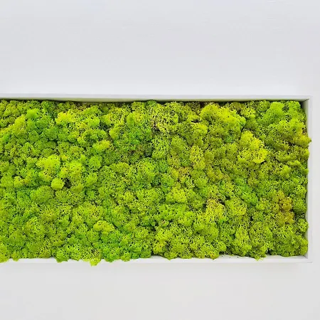 Nima Oberdan House Perugia